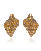 Gold Stardust Shell Earring