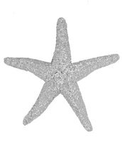 Silvertone Large Starfish Pin