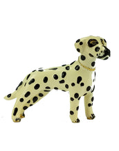 Dalmatian Adorable Pooch ® Pin