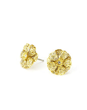 Double Rose Goldtone Stardust Pierced Earrings (Small)