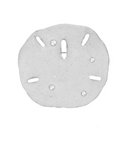 Stardust White Large Silvertone Sand Dollar Pin