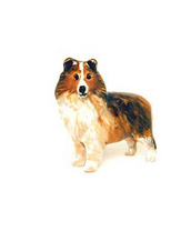 Sheltie Sheepdog Adorable Pooch ® Pin