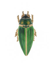 Garden Green Beetle Brooch