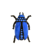 Garden Blue Beetle Brooch