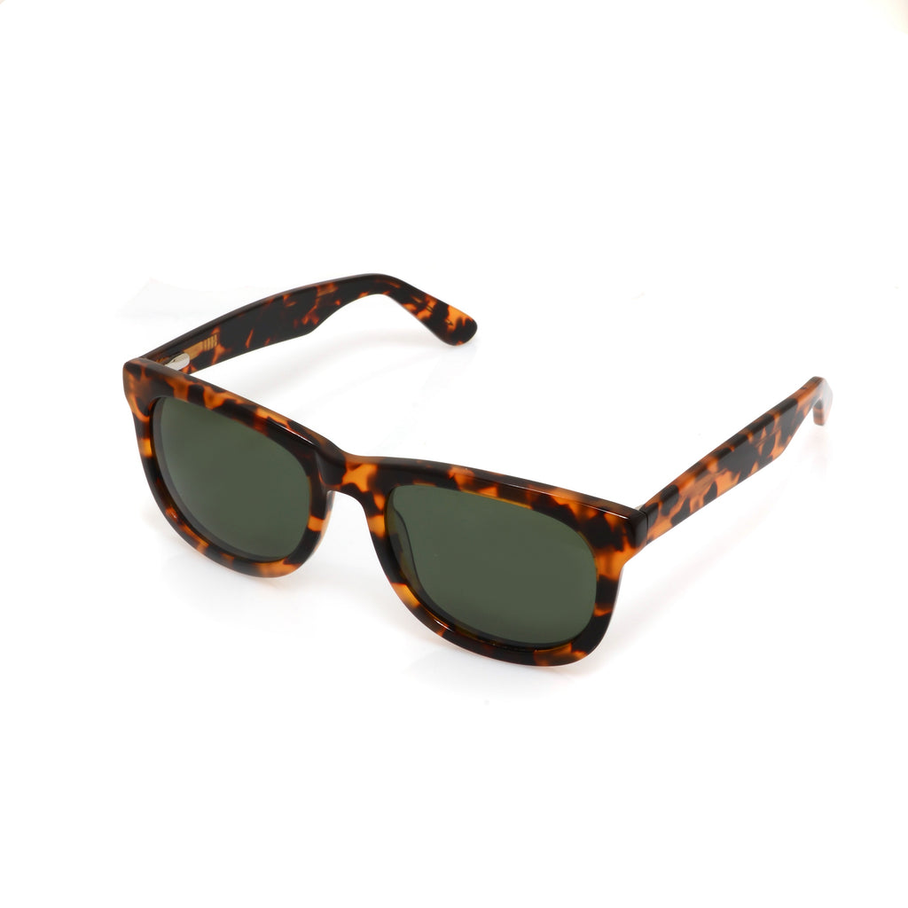Brown Tortoise Polarized Sunglasses