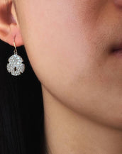 Sand Dollar Wire Earrings - Lucky Look of Diamonds™